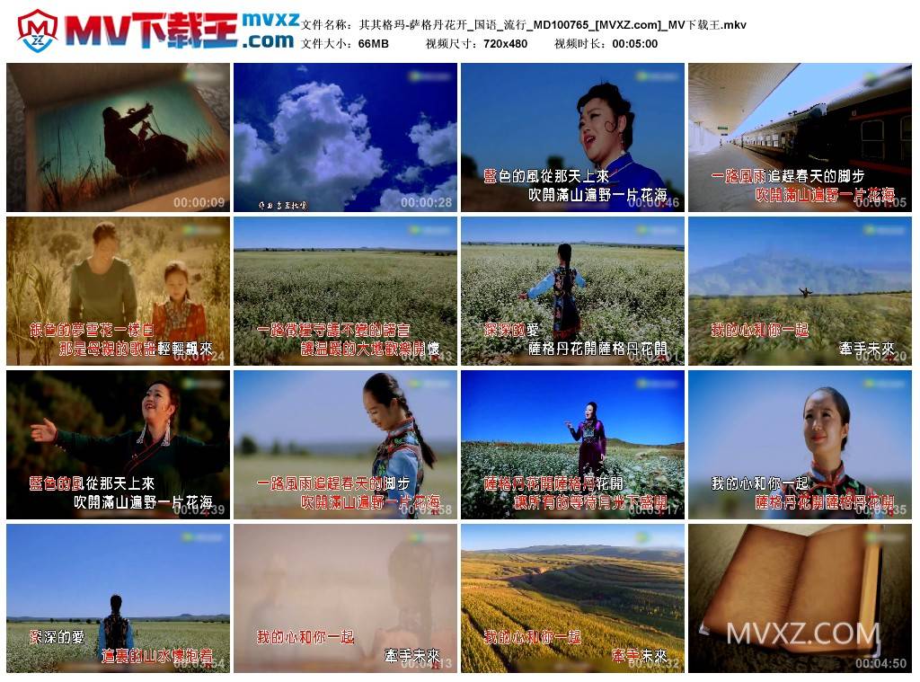其其格玛-萨格丹花开_国语_流行_MD100765